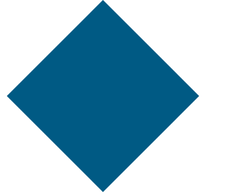 speak-with-director-diamond-blank